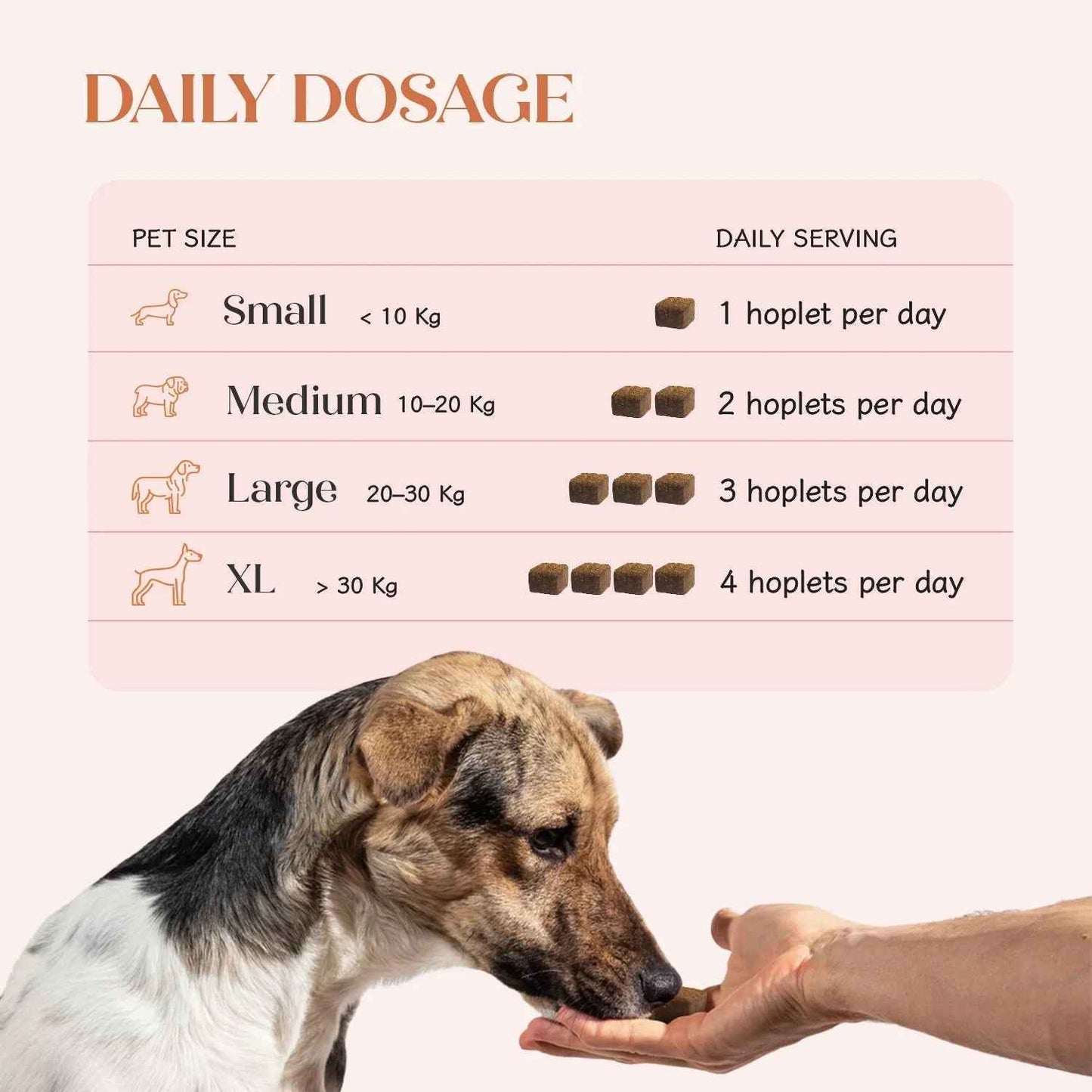 All-in-One Vegan Hoplet™ for Dogs | Daily Nutrition Chew (60 Hoplets)