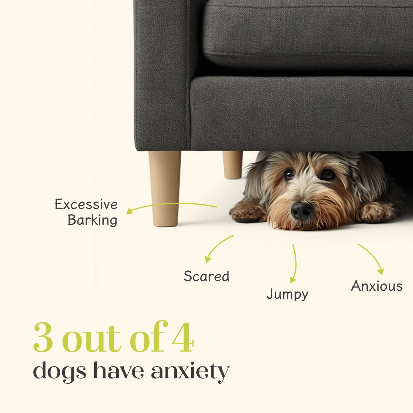 Calming Chicken Hoplet™ for Dogs | Anxiety Relief Chew