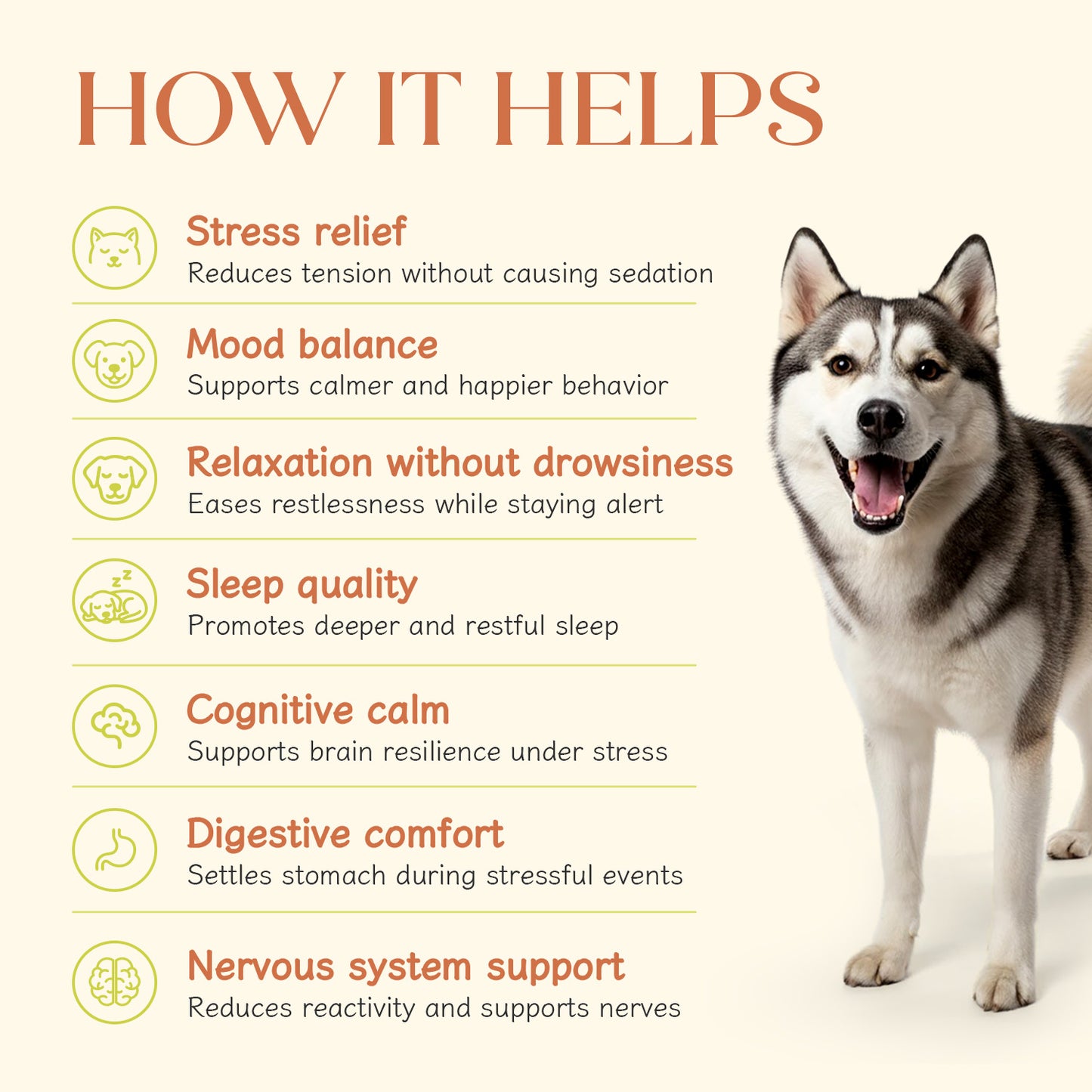 Calming Vegan Hoplet™ for Dogs | Anxiety Relief Chew