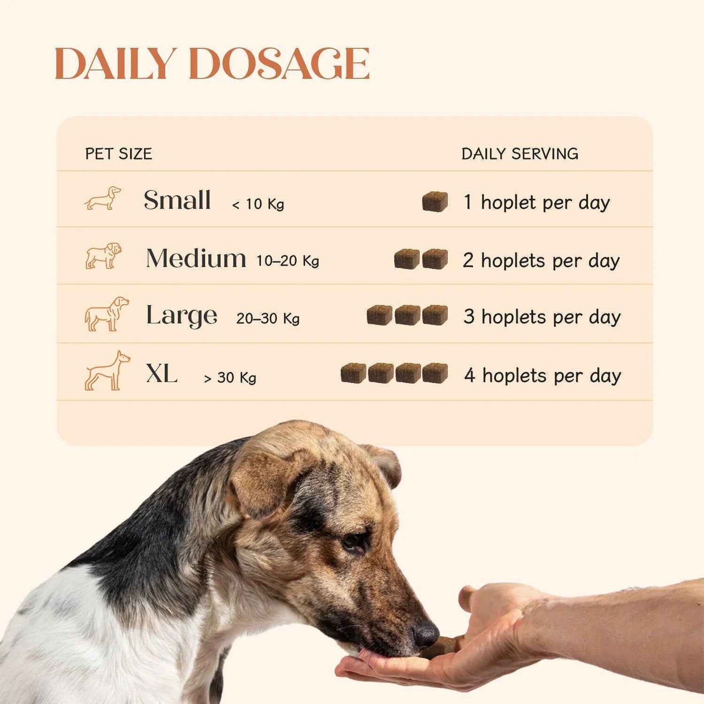 Hip + Joint Vegan Hoplet™ for Dogs | Mobility Chew (60 Hoplets)