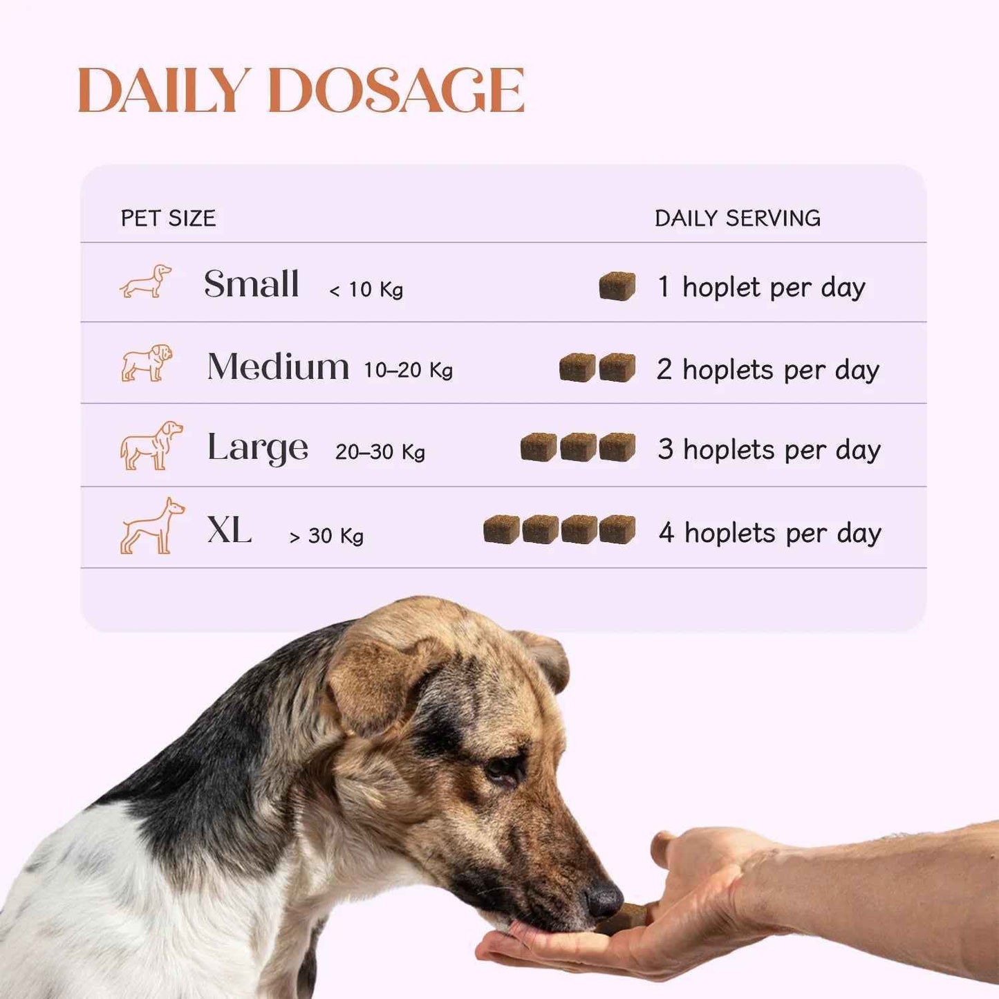 Skin + Coat Vegan Hoplet™ for Dogs | Shine & Itch Chew (90 Hoplets)