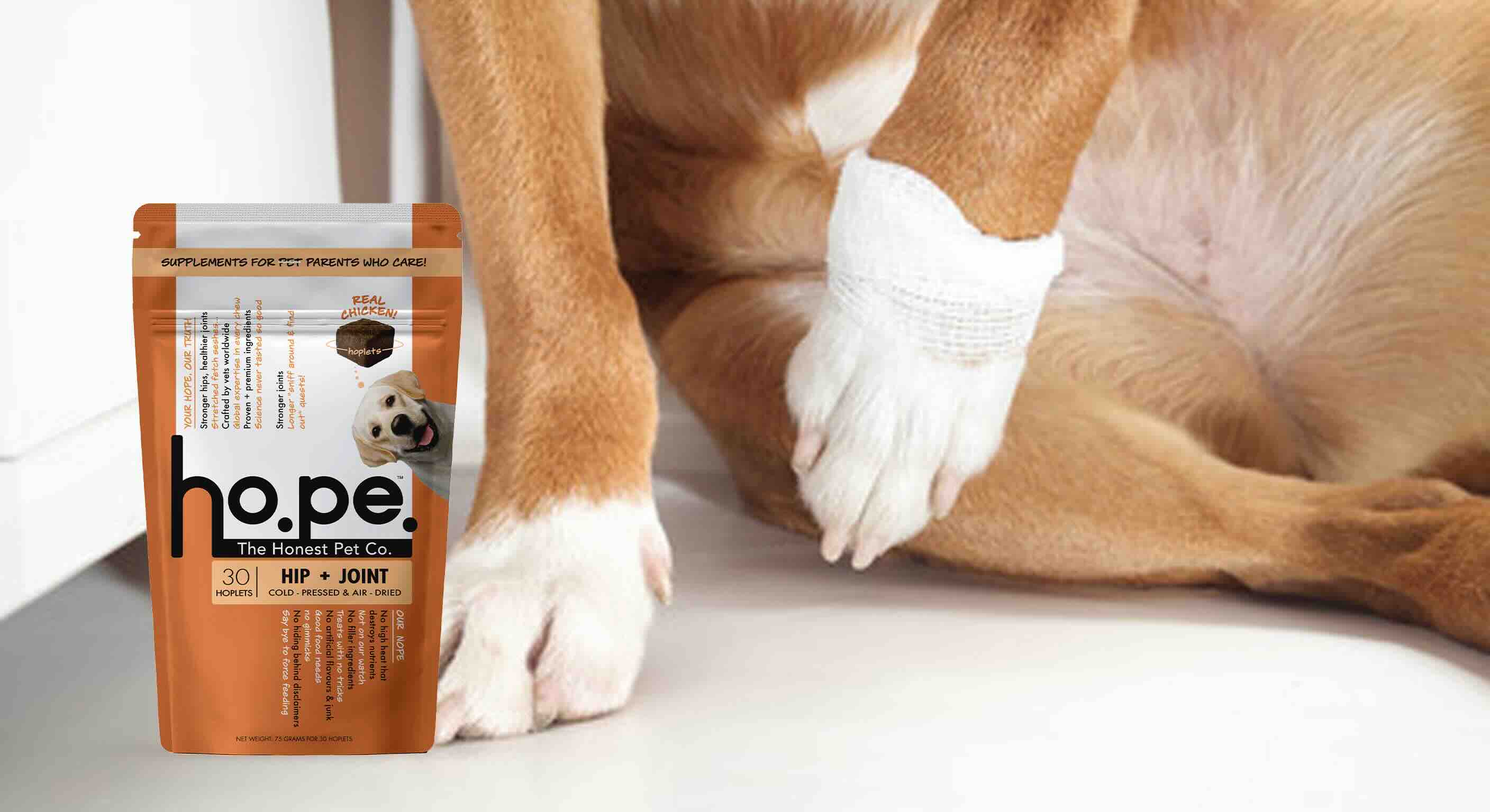 Dog Limping