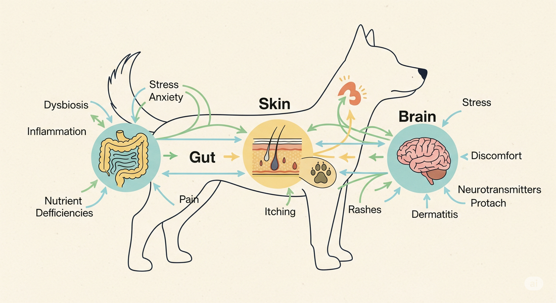 😬 Why Your Dog’s Itching, Gas, and Anxiety Might Be Related (And What To Do)