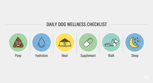💸 Vet Bills Are Rising — Here’s How to Keep Your Dog Healthy at Home