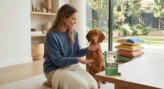 Healthy Dog Supplements and Treats Made in India with International Standards