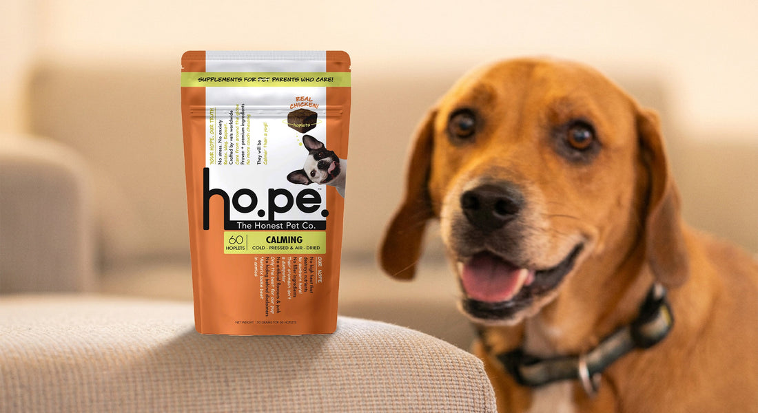India's Trusted Brand for Dog Supplements