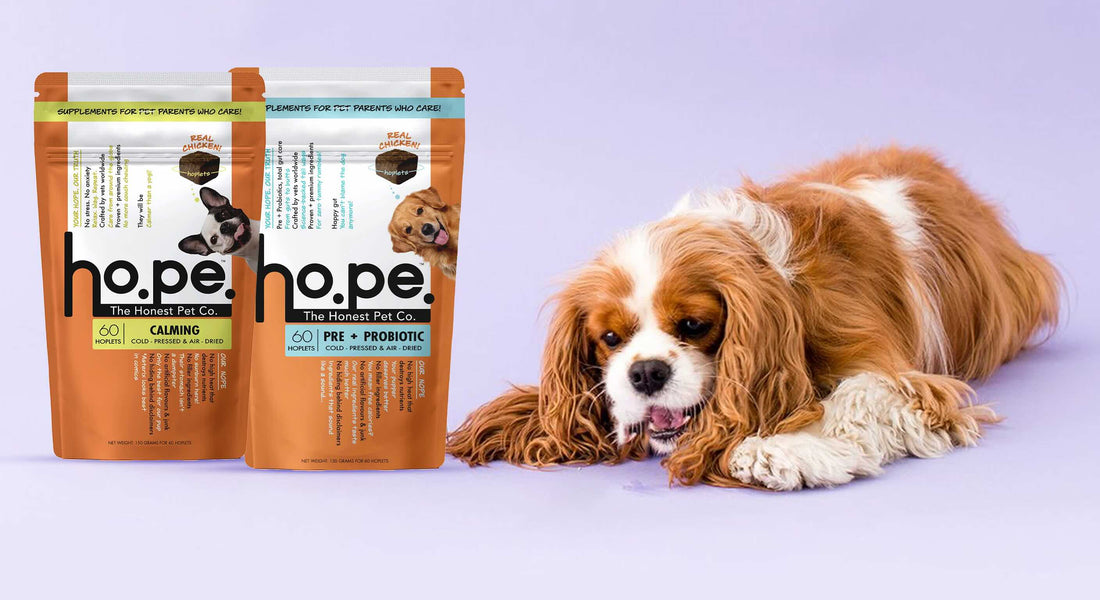 Manage Anxiety & Appetite naturally of your Dog