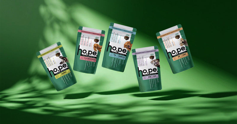 Vegan Chews for Dogs