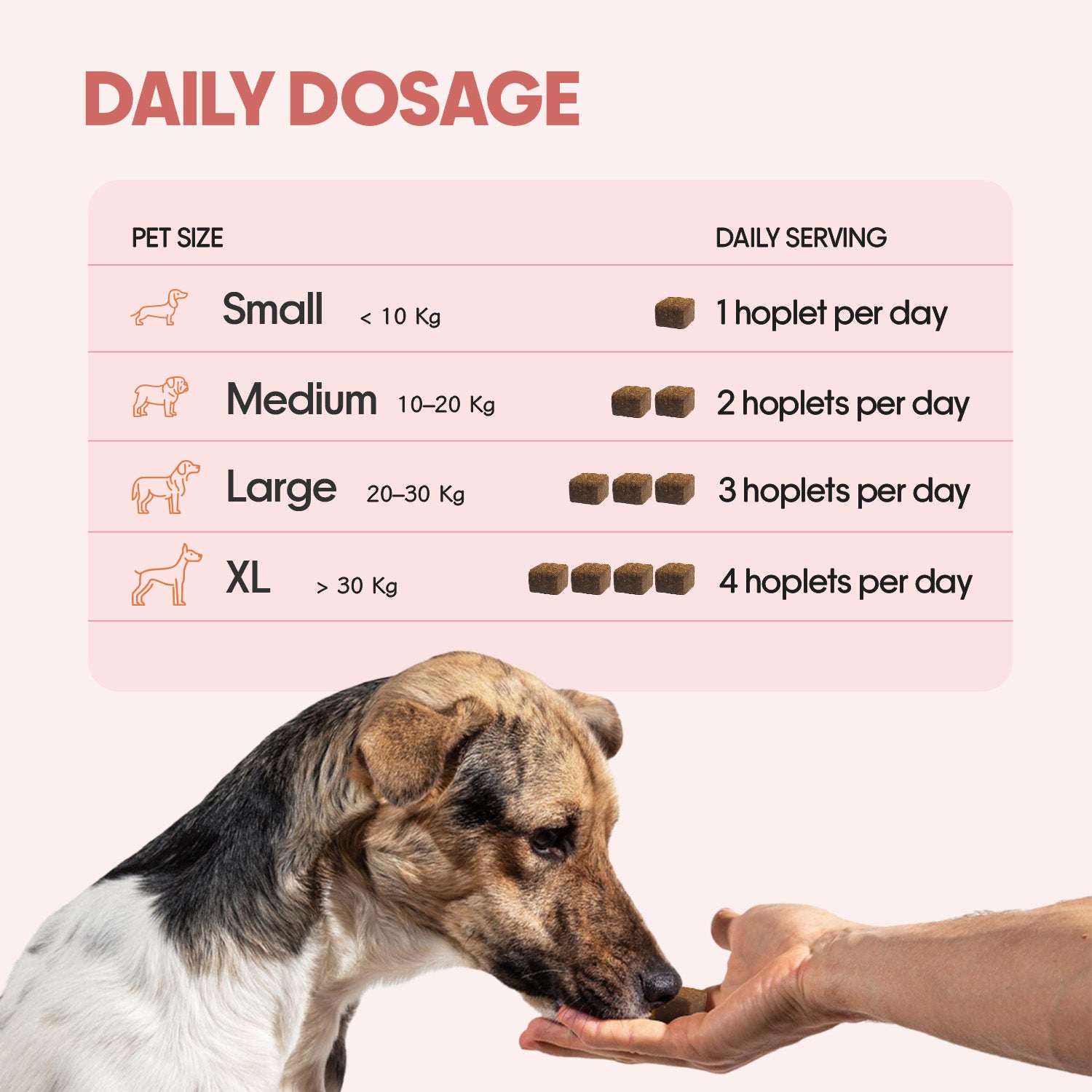 All-in-One Vegan Hoplet™  for Dogs | Daily Nutrition Chew 30 Hoplets