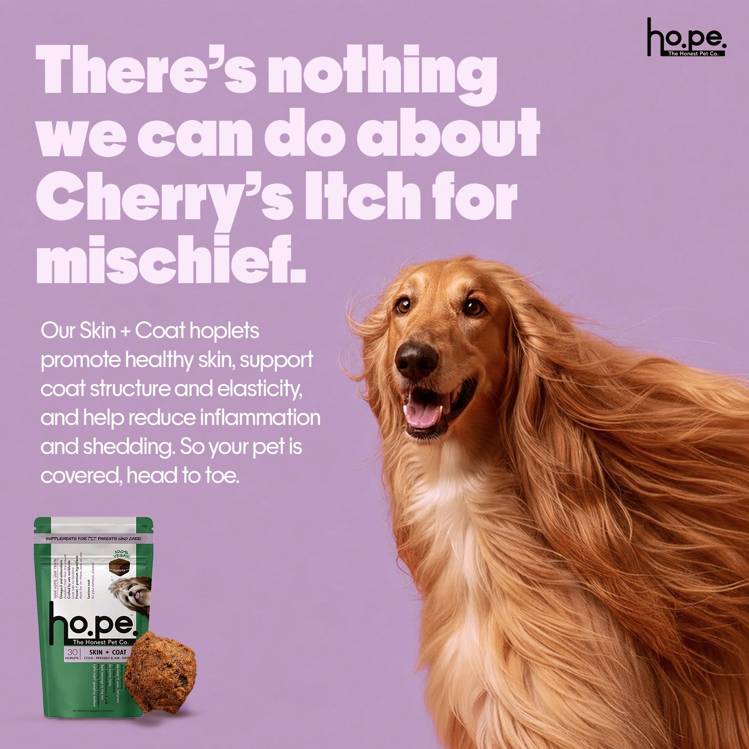 Skin + Coat Vegan Hoplet™ for Dogs | Shine & Itch Chew 60 Hoplets