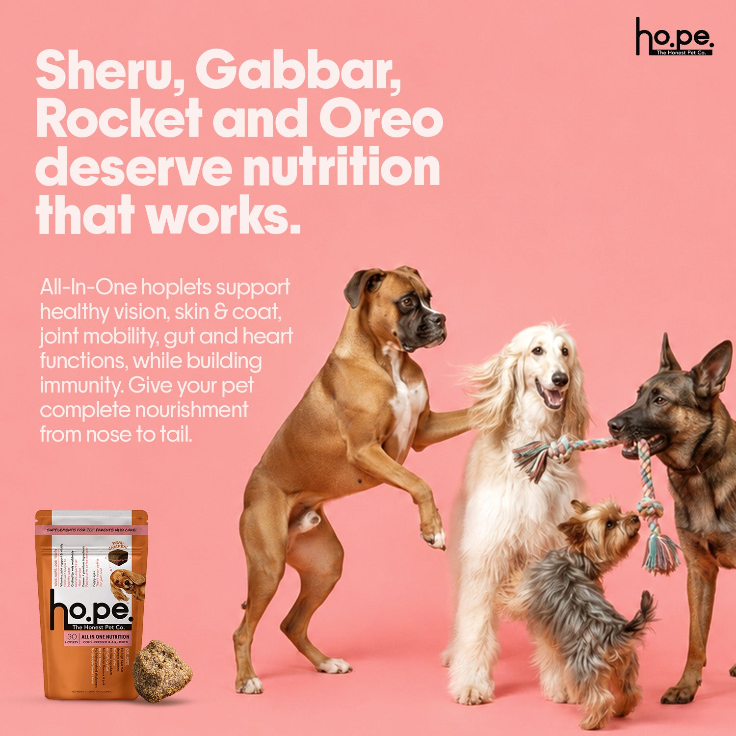 All-in-One Chicken Hoplet™ for Dogs | Daily Nutrition Chew 90 Hoplets