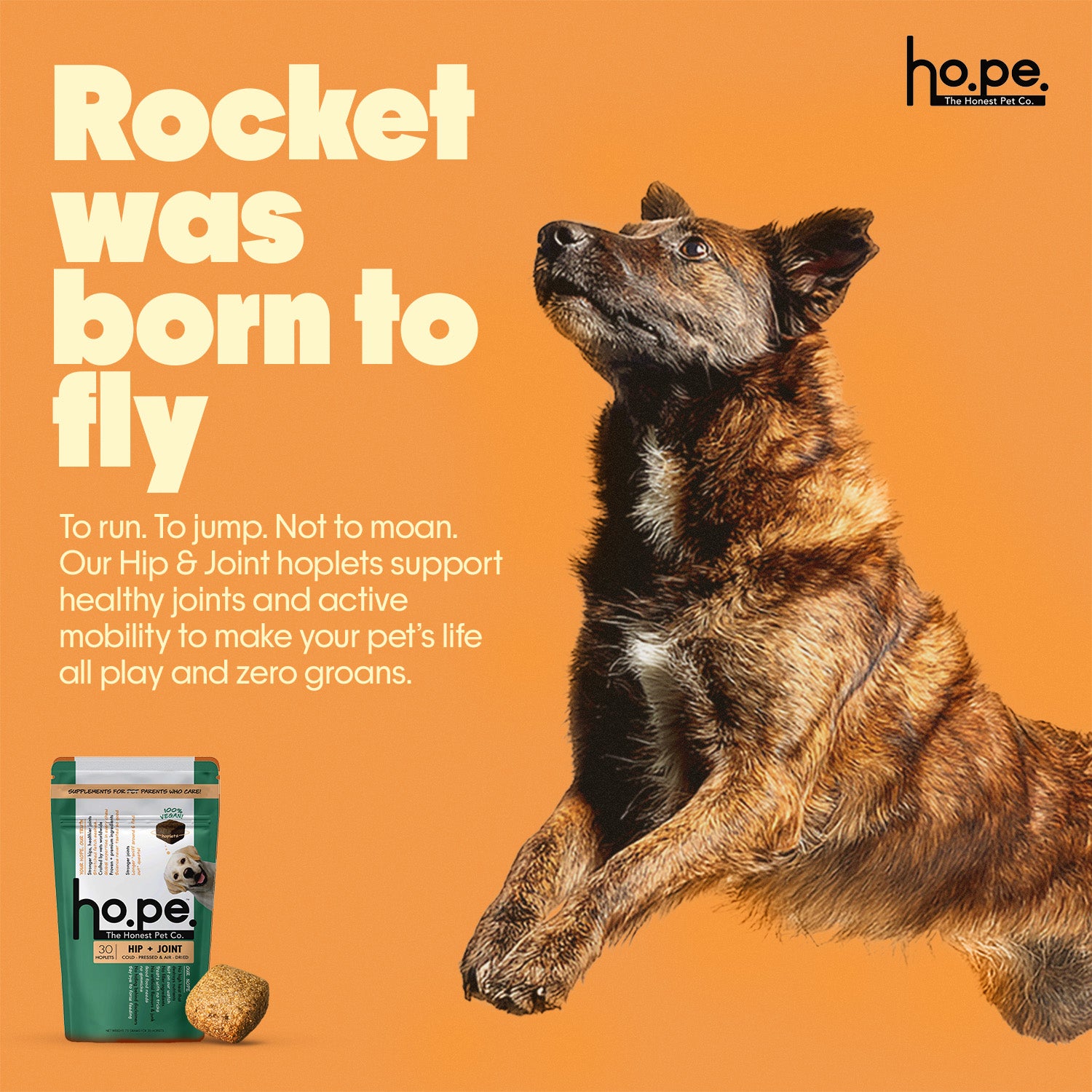 Hip + Joint Vegan Hoplet™ for Dogs | Mobility Chew 60 Hoplets