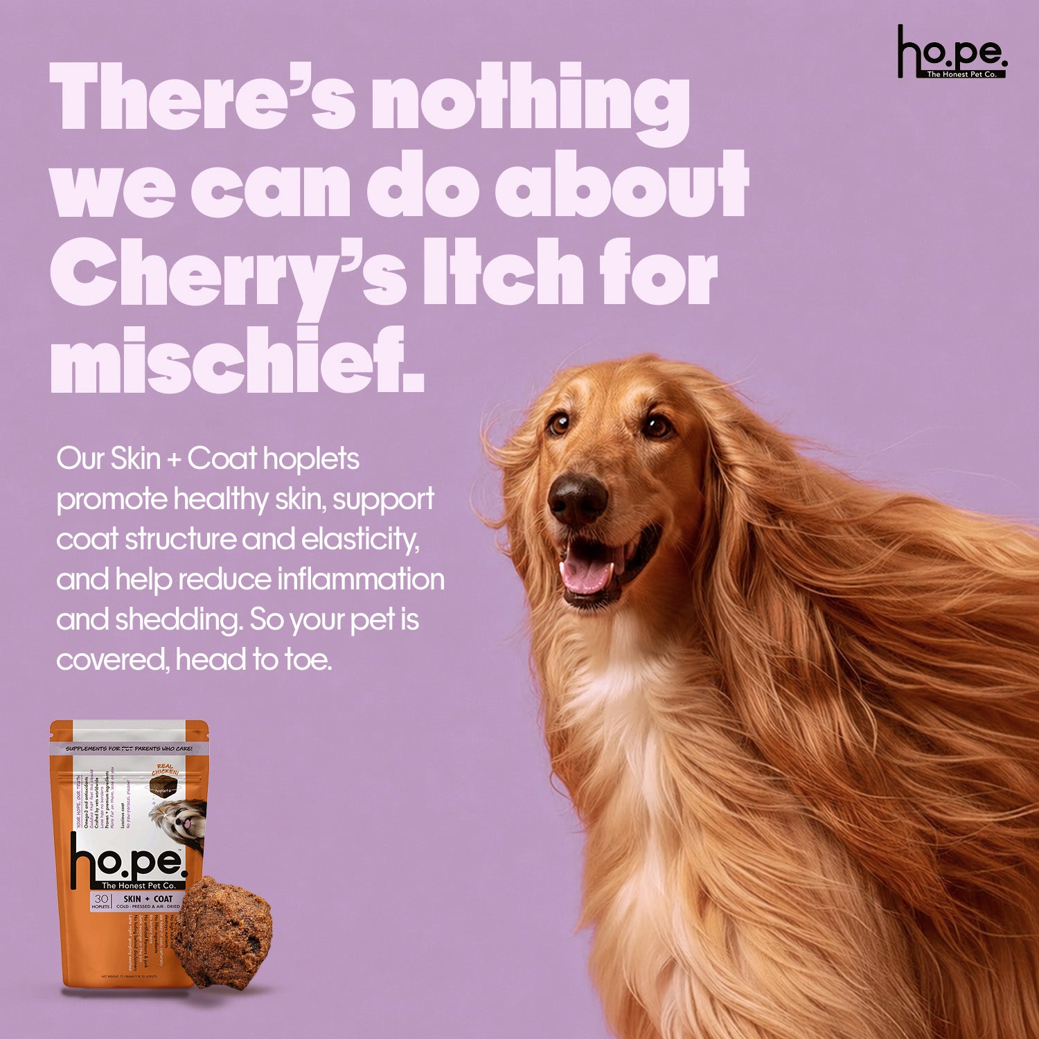 Skin + Coat Chicken Hoplet™ for Dogs | Shine & Itch Chew 30 Hoplets