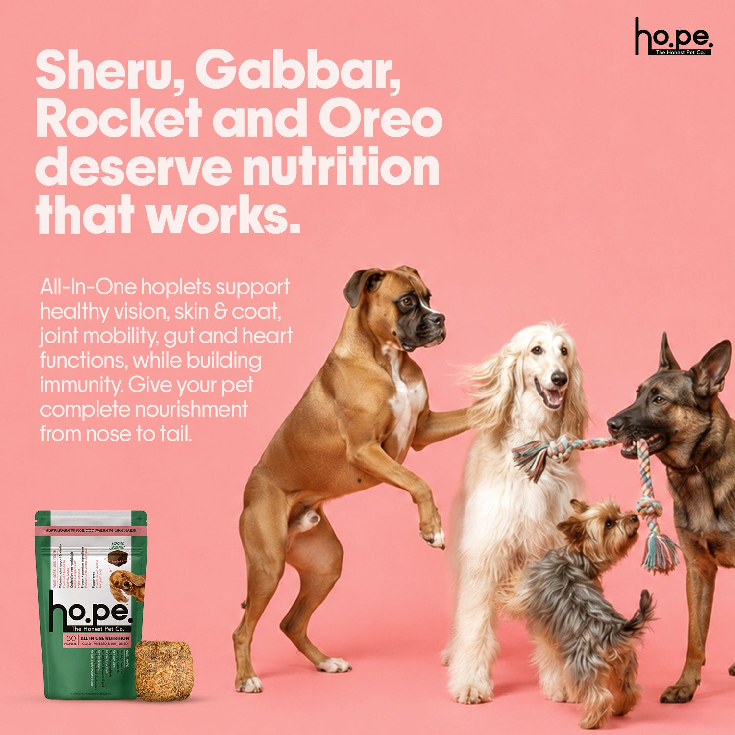 All-in-One Vegan Hoplet™  for Dogs | Daily Nutrition Chew 30 Hoplets