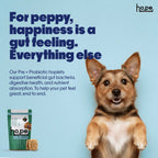 Pre+Probiotic Vegan Hoplet™ | Paw Licking & Scratching Relief | Gut Health 60 Hoplets