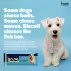 Everyday Protein Bar for Dogs Fish | 7 Bars