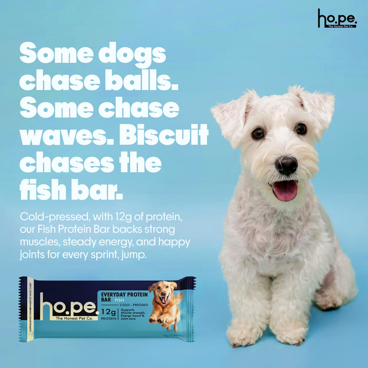 Everyday Protein Bar for Dogs Fish | 7 Bars