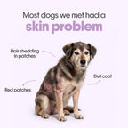 Skin + Coat Vegan Hoplet™ for Dogs | Shine & Itch Chew 60 Hoplets