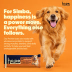 Everyday Protein Bar for Dogs Chicken + Fish | 15 Bars