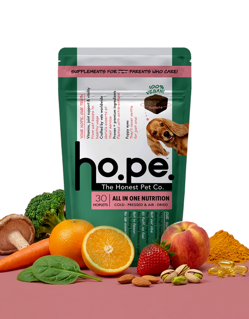 All-in-One Vegan Hoplet™  for Dogs | Daily Nutrition Chew 30 Hoplets