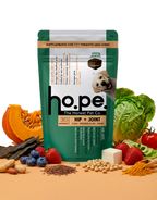 Hip + Joint Vegan Hoplet™ for Dogs | Mobility Chew 60 Hoplets