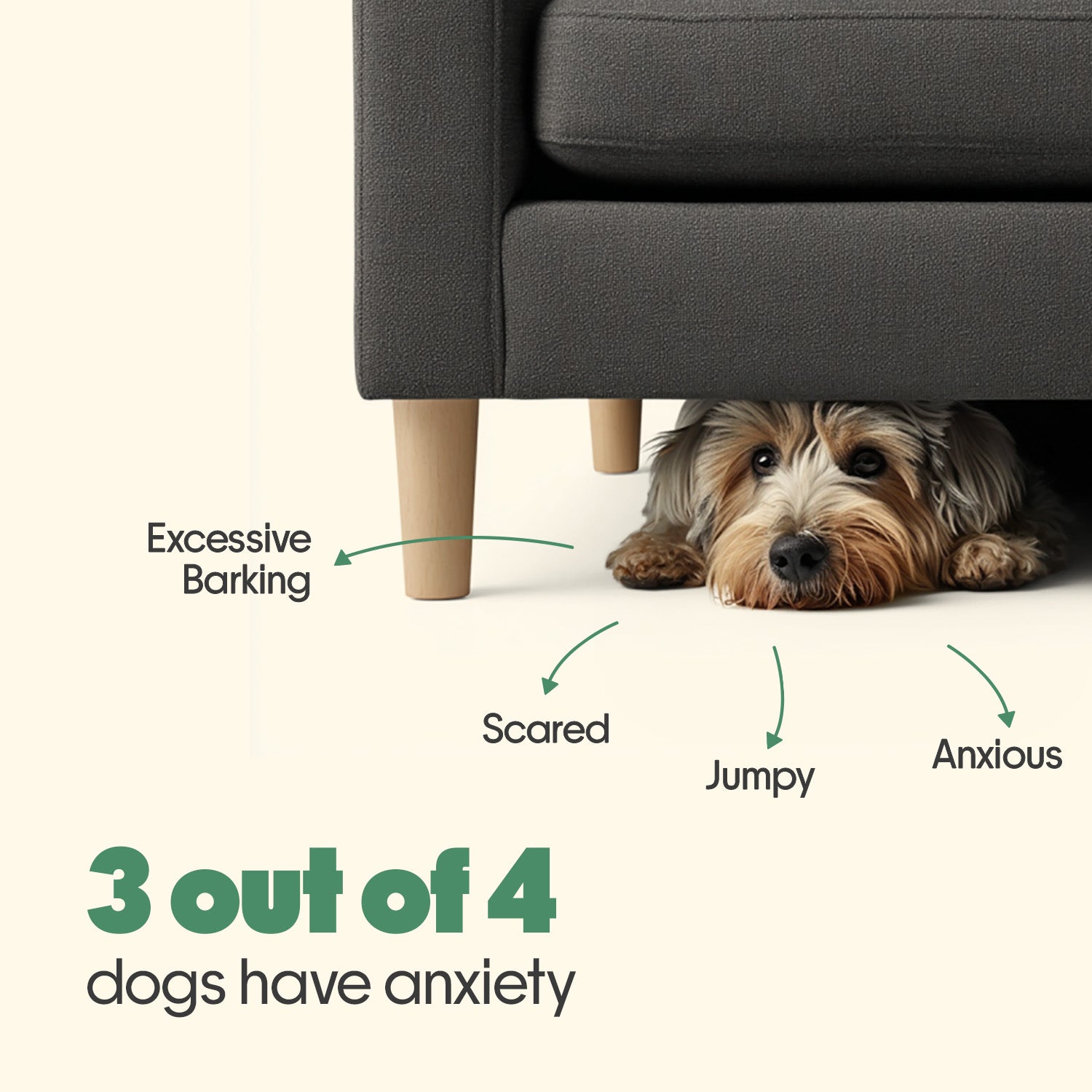 Calming Chicken Hoplet™ for Dogs | Anxiety Relief Chew 90 Hoplets