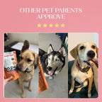 All-in-One Chicken Hoplet™ for Dogs | Daily Nutrition Chew 90 Hoplets