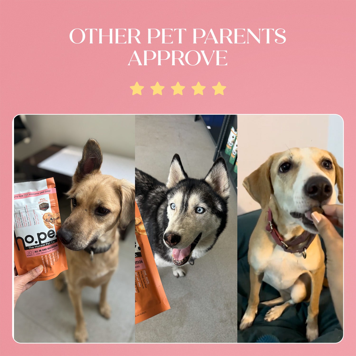 All-in-One Chicken Hoplet™ for Dogs | Daily Nutrition Chew 90 Hoplets