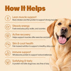 Everyday Protein Bar for Dogs Chicken + Fish | 15 Bars