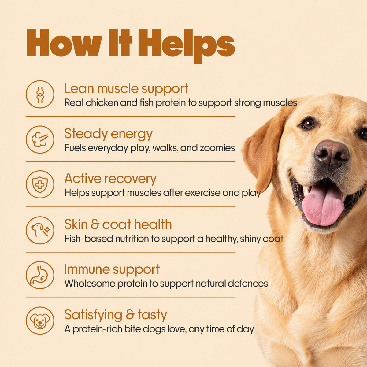 Everyday Protein Bar for Dogs Chicken + Fish | 15 Bars