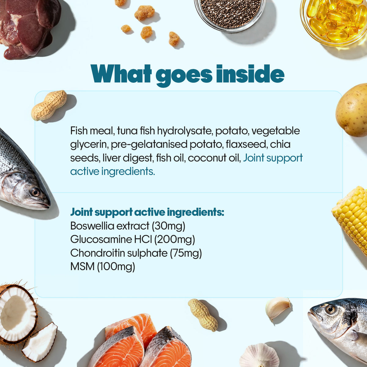Everyday Protein Bar for Dogs Fish | 30 Bars