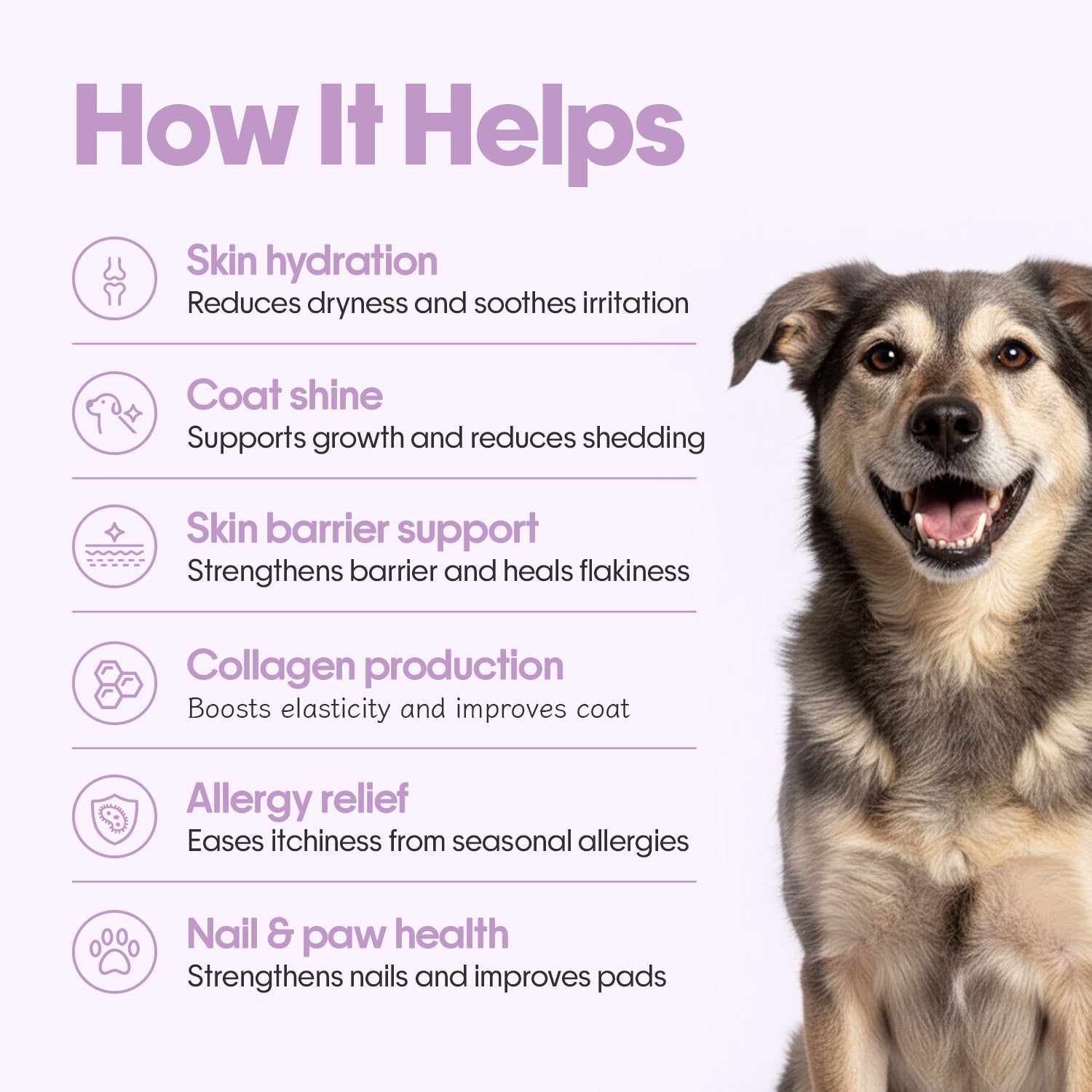 Skin + Coat Vegan Hoplet™ for Dogs | Shine & Itch Chew 60 Hoplets