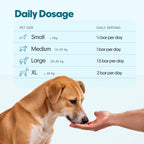 Everyday Protein Bar for Dogs Fish | 30 Bars