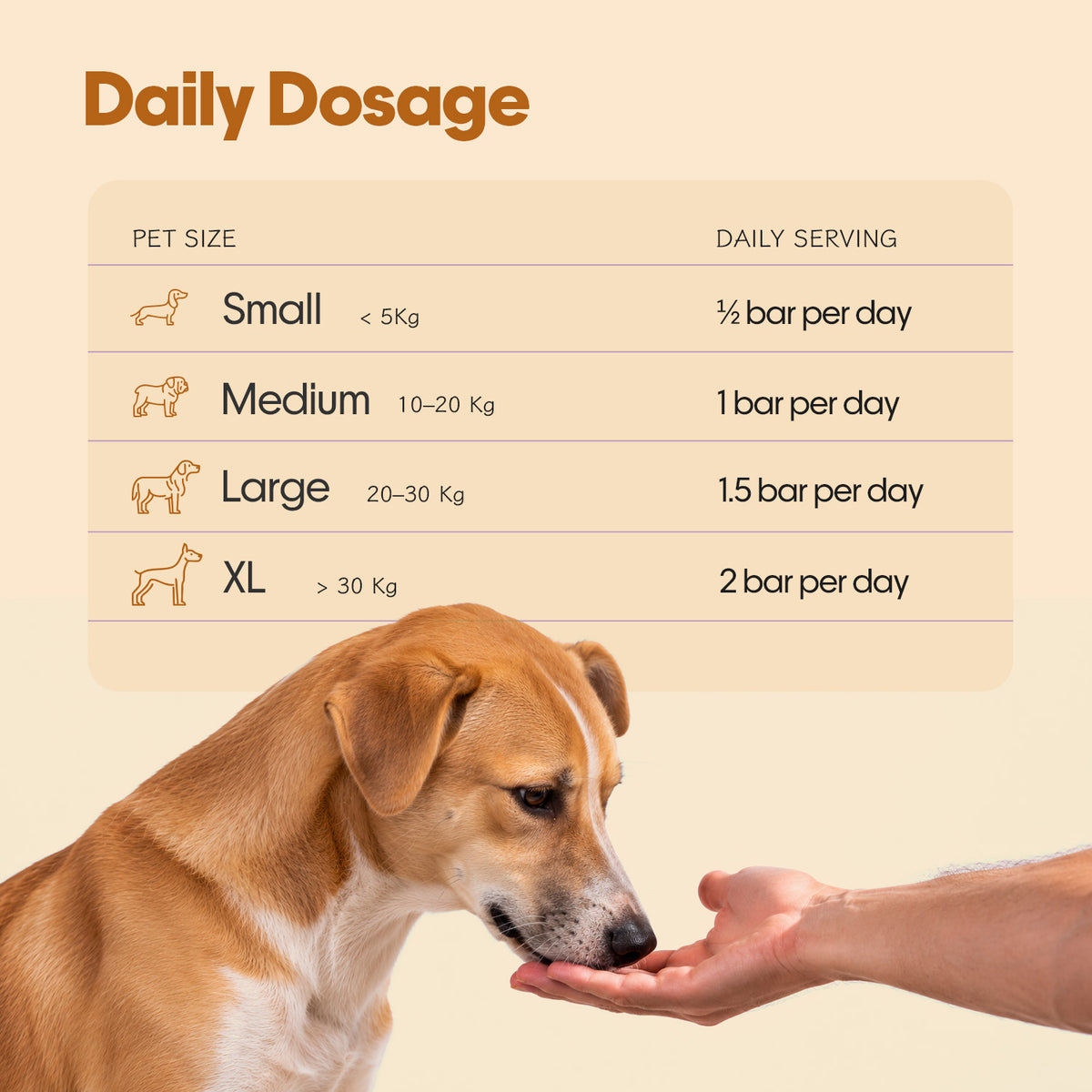Everyday Protein Bar for Dogs Chicken + Fish | 15 Bars
