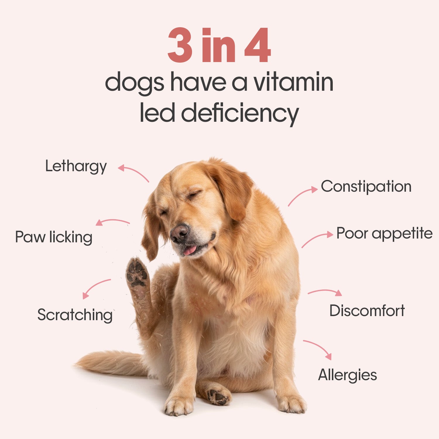All-in-One Chicken Hoplet™ for Dogs | Daily Nutrition Chew 90 Hoplets
