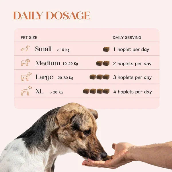 All-in-One Chicken Hoplet™ for Dogs | Daily Nutrition Chew 30 Hoplets