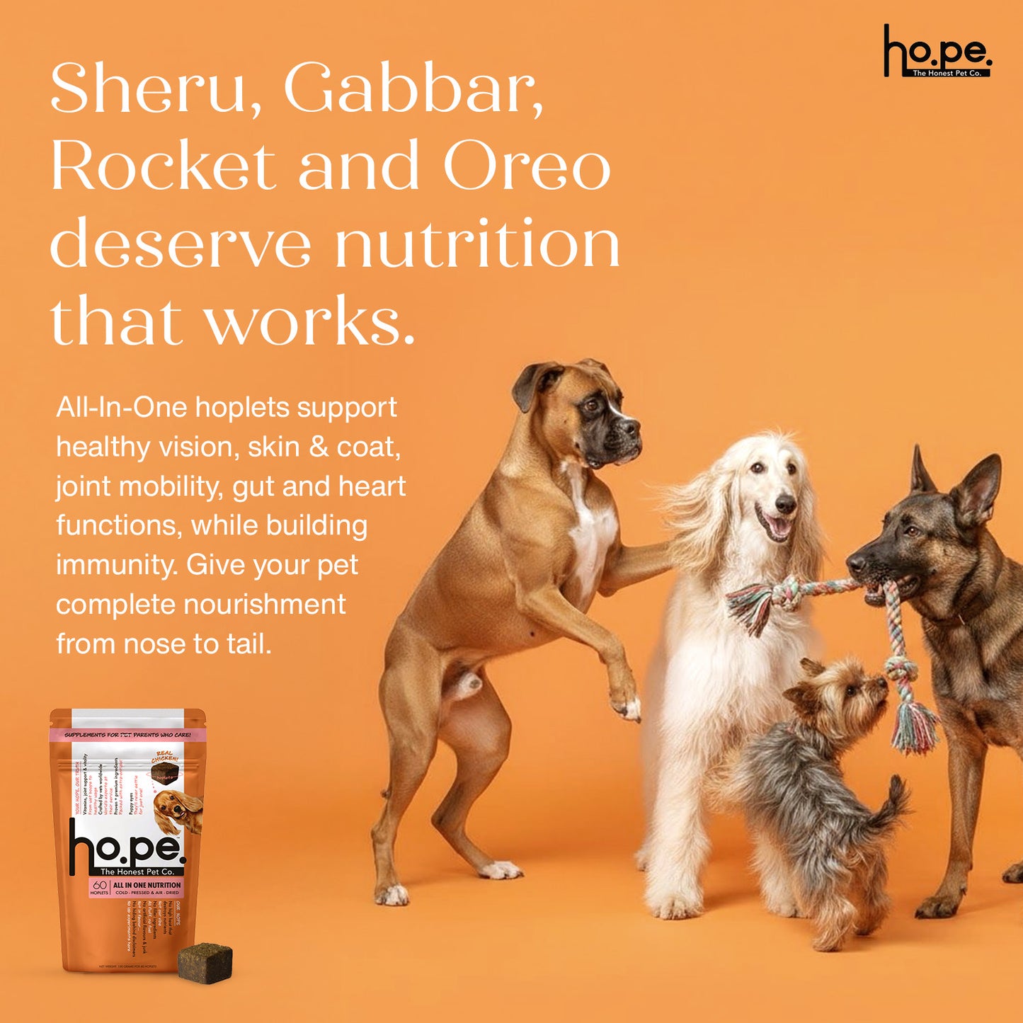 All-in-One Chicken Hoplet™ for Dogs | Daily Nutrition Chew