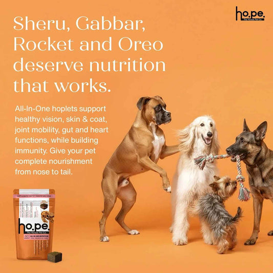 All in One Chicken Hoplet™ for Dogs | Shine & Itch Chew