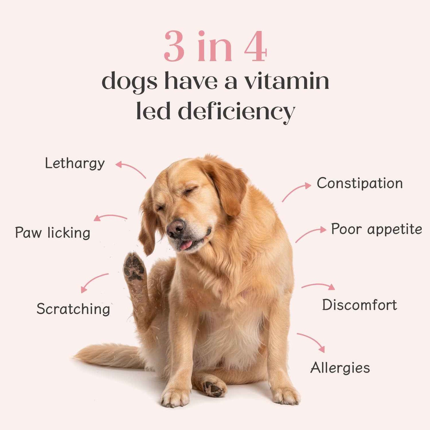 All in One Chicken Hoplet™ for Dogs | Shine & Itch Chew