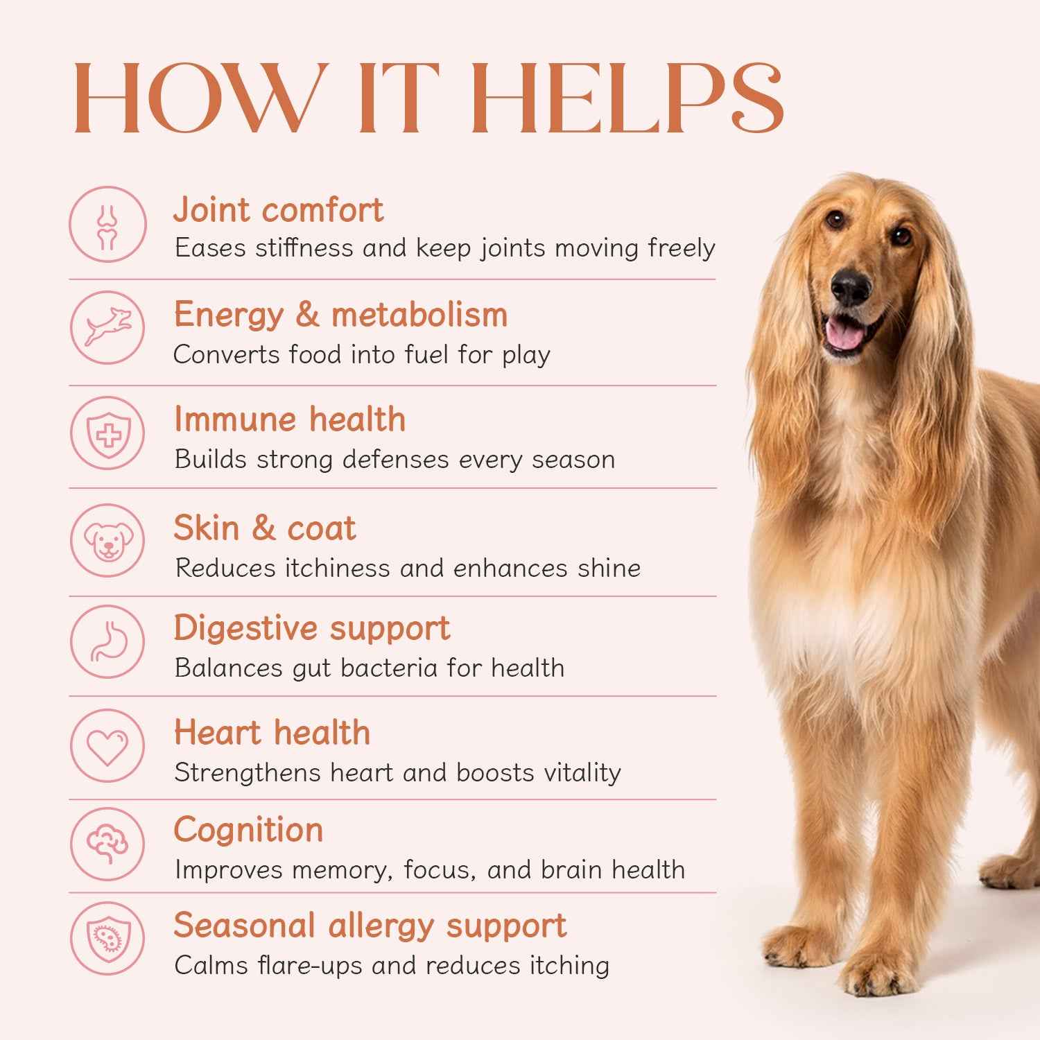 All in One Chicken Hoplet™ for Dogs | Shine & Itch Chew