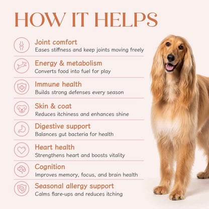 All in One Chicken Hoplet™ for Dogs | Shine & Itch Chew