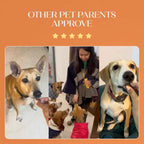 All-in-One Chicken Hoplet™ for Dogs | Daily Nutrition Chew 30 Hoplets