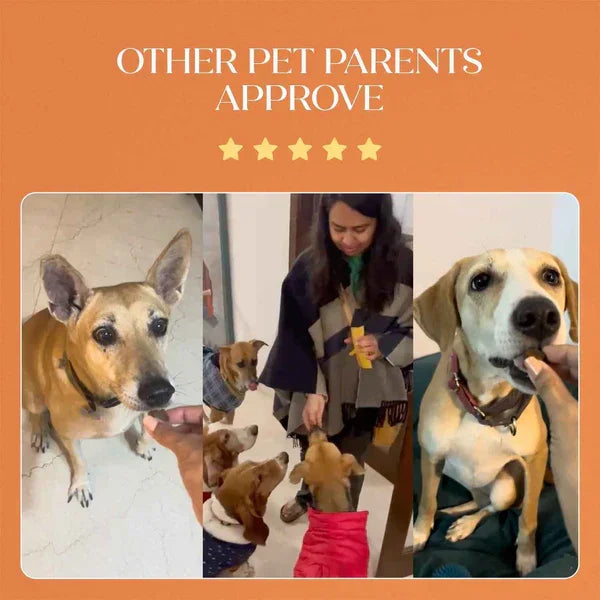 All-in-One Chicken Hoplet™ for Dogs | Daily Nutrition Chew 30 Hoplets