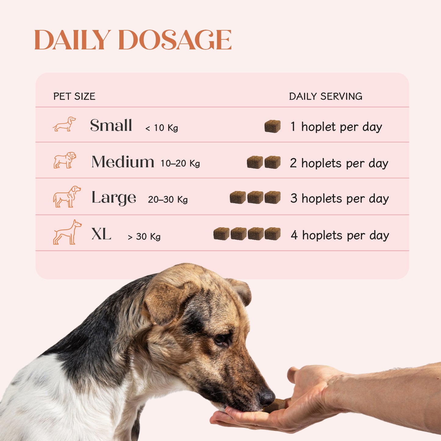 All-in-One Chicken Hoplet™ for Dogs | Daily Nutrition Chew