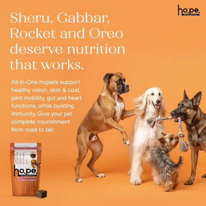 All-in-One Chicken Hoplet™ for Dogs | Daily Nutrition Chew