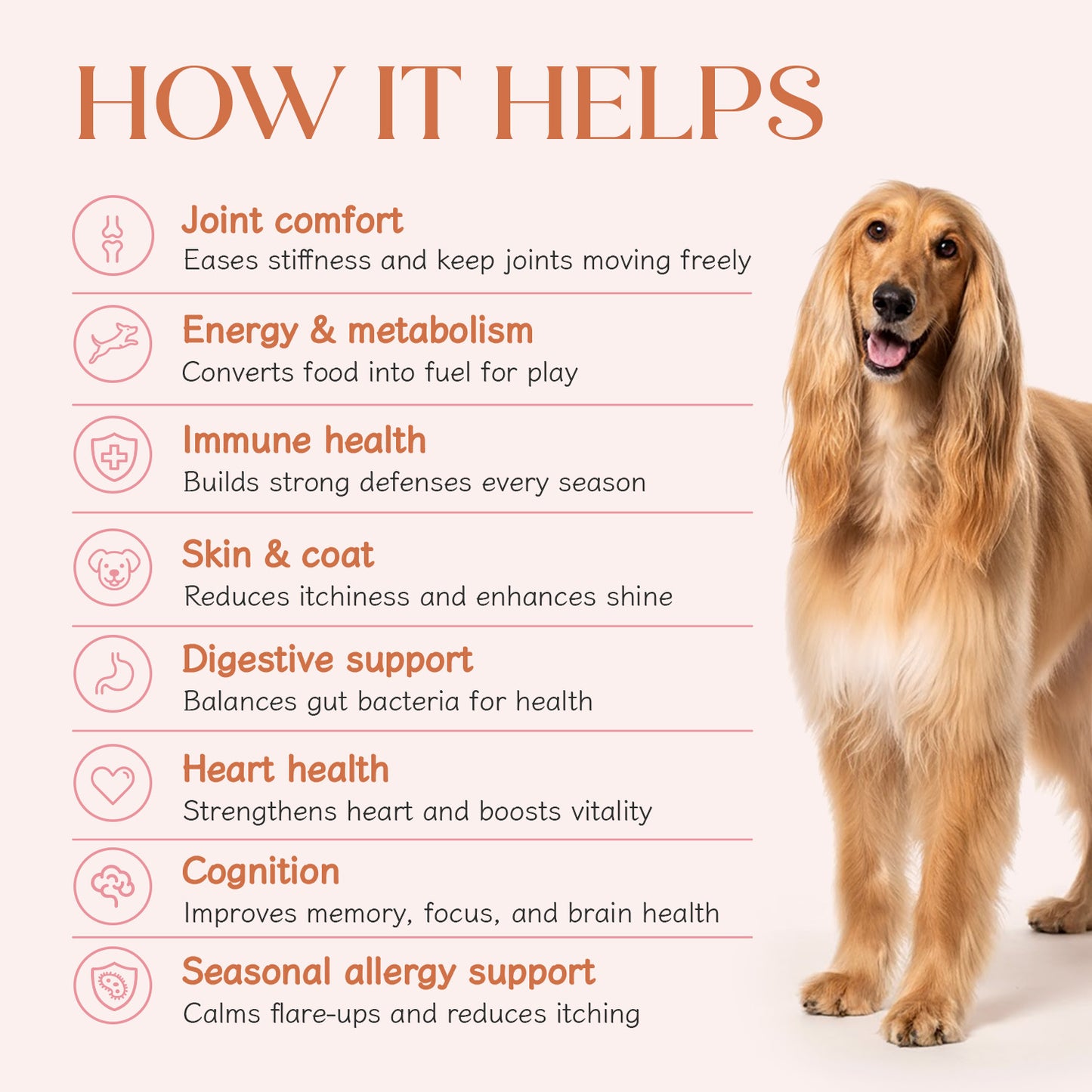 All-in-One Chicken Hoplet™ for Dogs | Daily Nutrition Chew