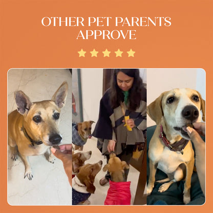 All-in-One Chicken Hoplet™ for Dogs | Daily Nutrition Chew