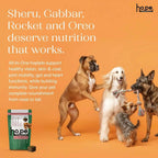 All-in-One Vegan Hoplet™  for Dogs | Daily Nutrition Chew (60 Hoplets)