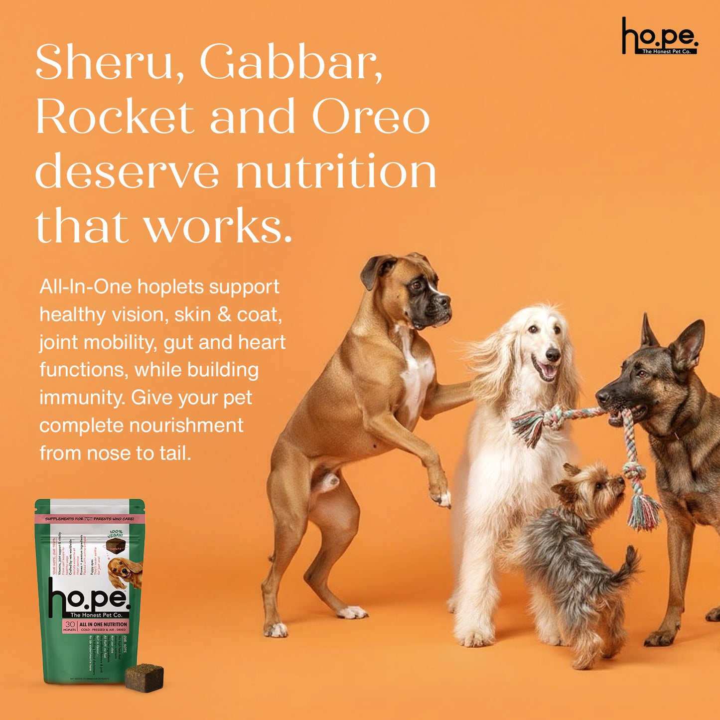 All-in-One Vegan Hoplet™  for Dogs | Daily Nutrition Chew