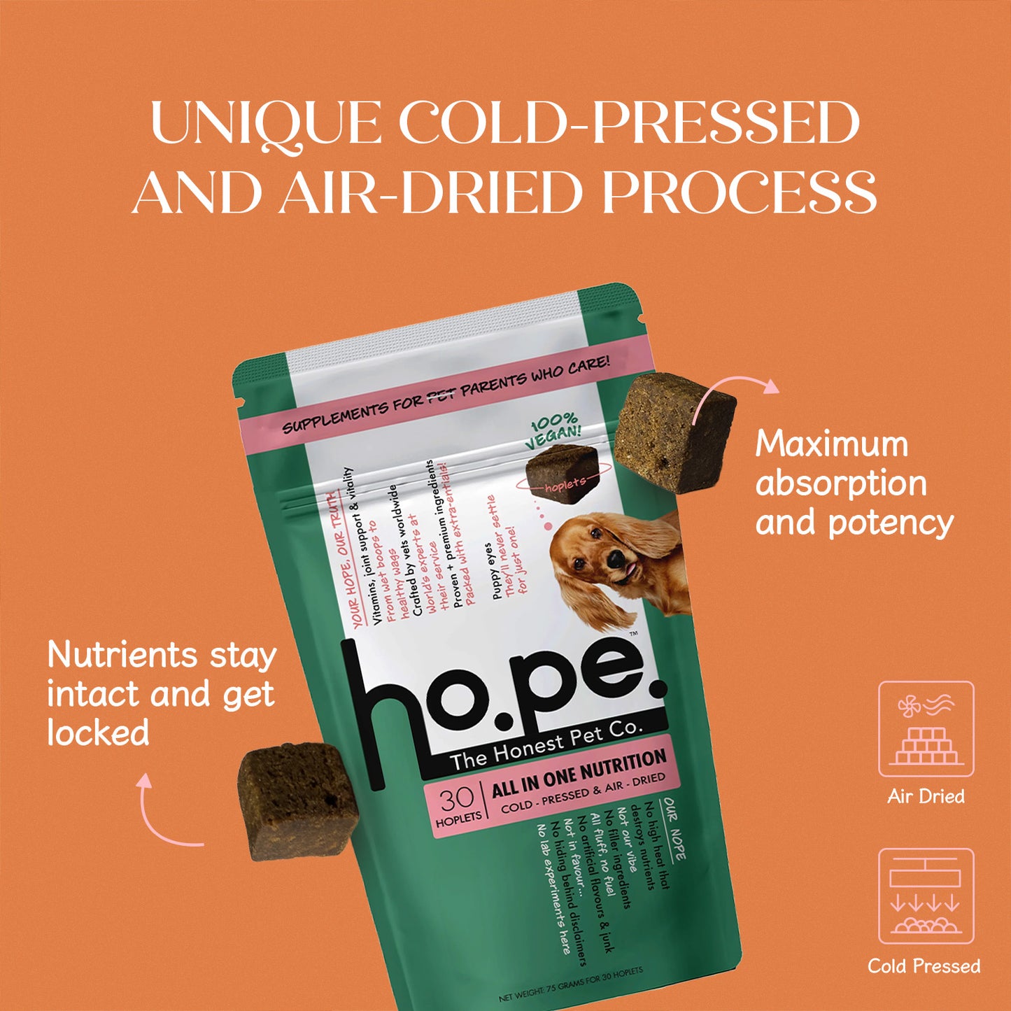 All-in-One Vegan Hoplet™  for Dogs | Daily Nutrition Chew